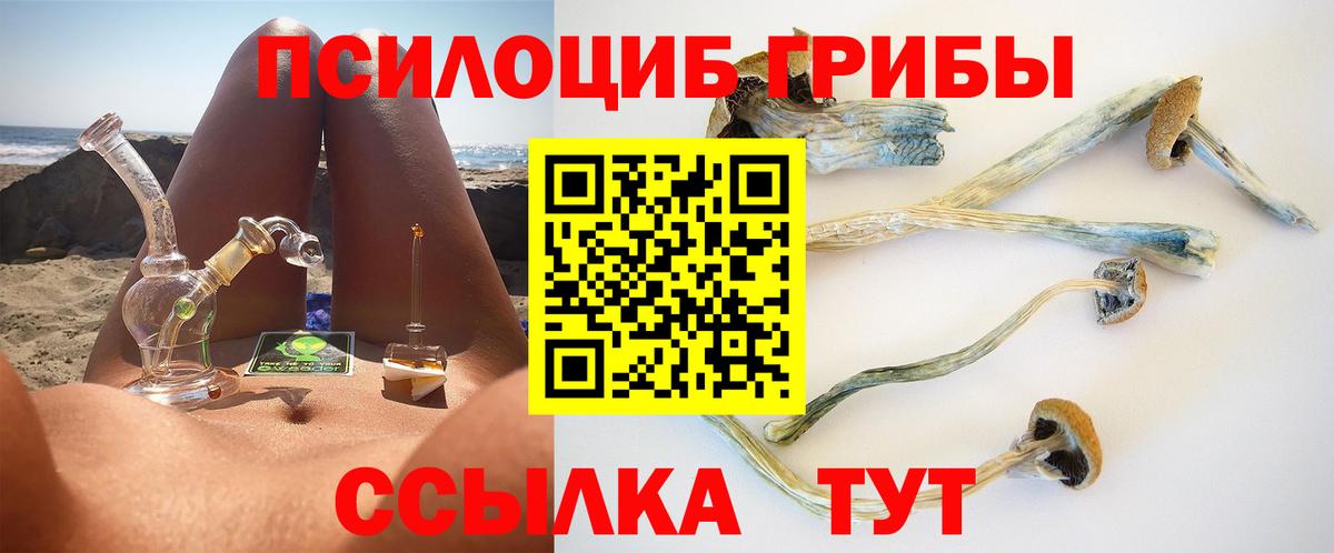 Тамбов  Псилоцибиновые грибы Psilocybine cubensis  Вход с VPN 