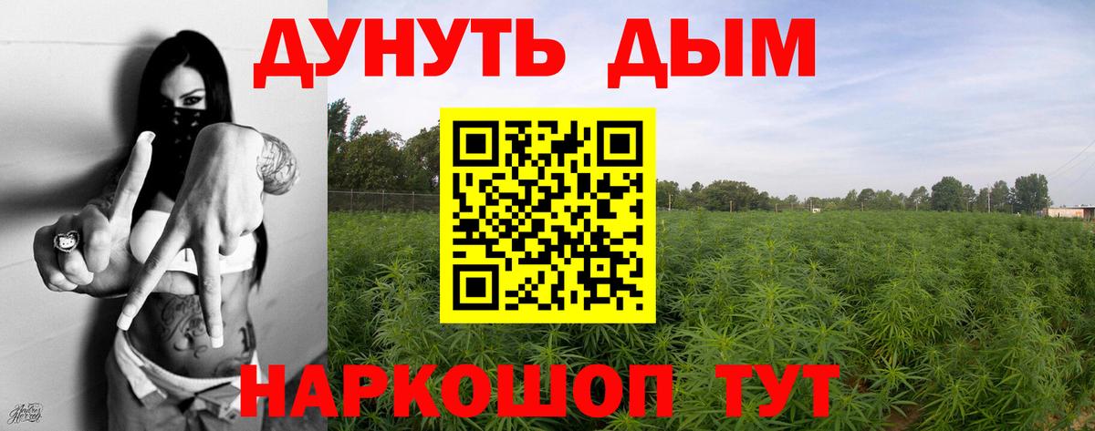 Шишки марихуана SATIVA & INDICA Тамбов